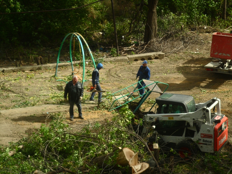 Год экологии. Саратовцы сообщают о массовой вырубке деревьев во дворе под автостоянку