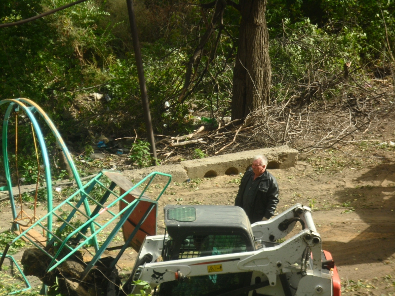 Год экологии. Саратовцы сообщают о массовой вырубке деревьев во дворе под автостоянку