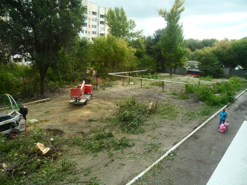 Год экологии. Саратовцы сообщают о массовой вырубке деревьев во дворе под автостоянку