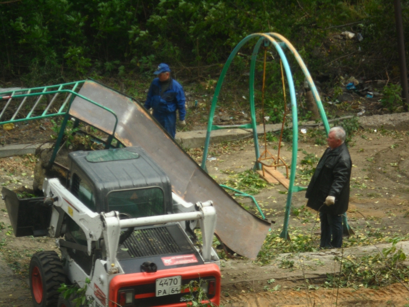 Год экологии. Саратовцы сообщают о массовой вырубке деревьев во дворе под автостоянку
