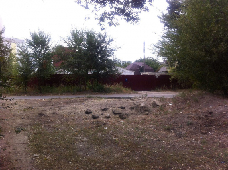 Работники администрации и полицейские не нашли убитых собак около гимназии в Саратове