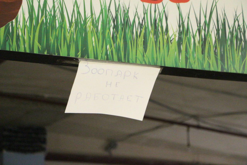 Львы, медведи и леопард остаются запертыми в саратовском торговом центре