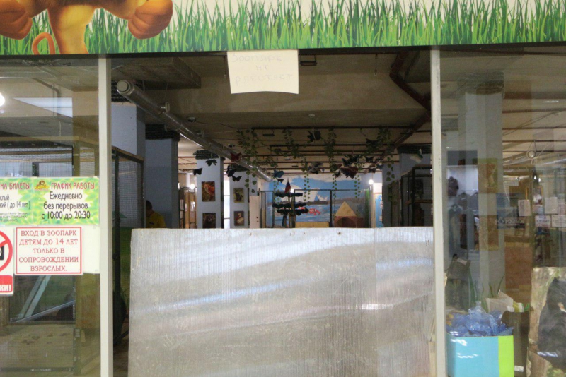 Львы, медведи и леопард остаются запертыми в саратовском торговом центре