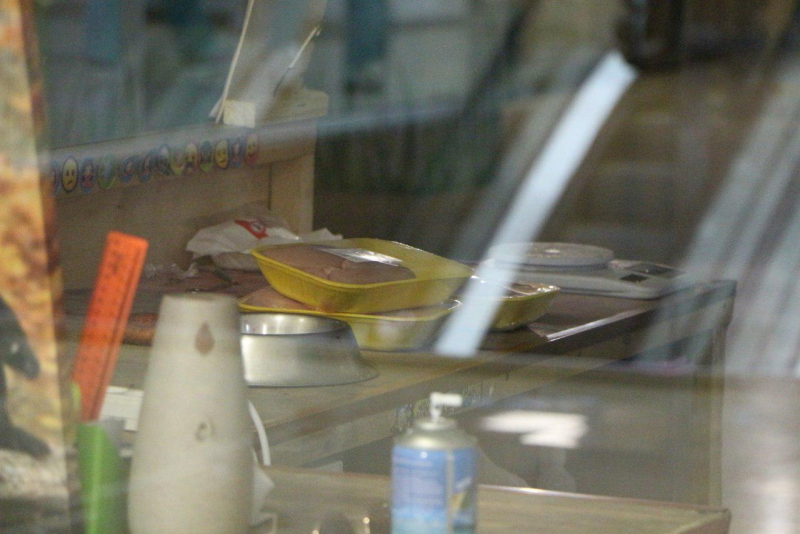 Львы, медведи и леопард остаются запертыми в саратовском торговом центре