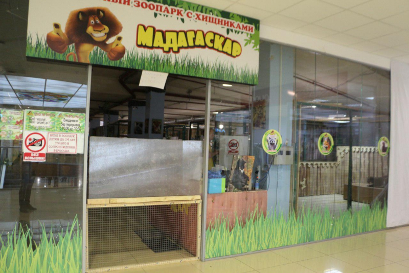 Львы, медведи и леопард остаются запертыми в саратовском торговом центре