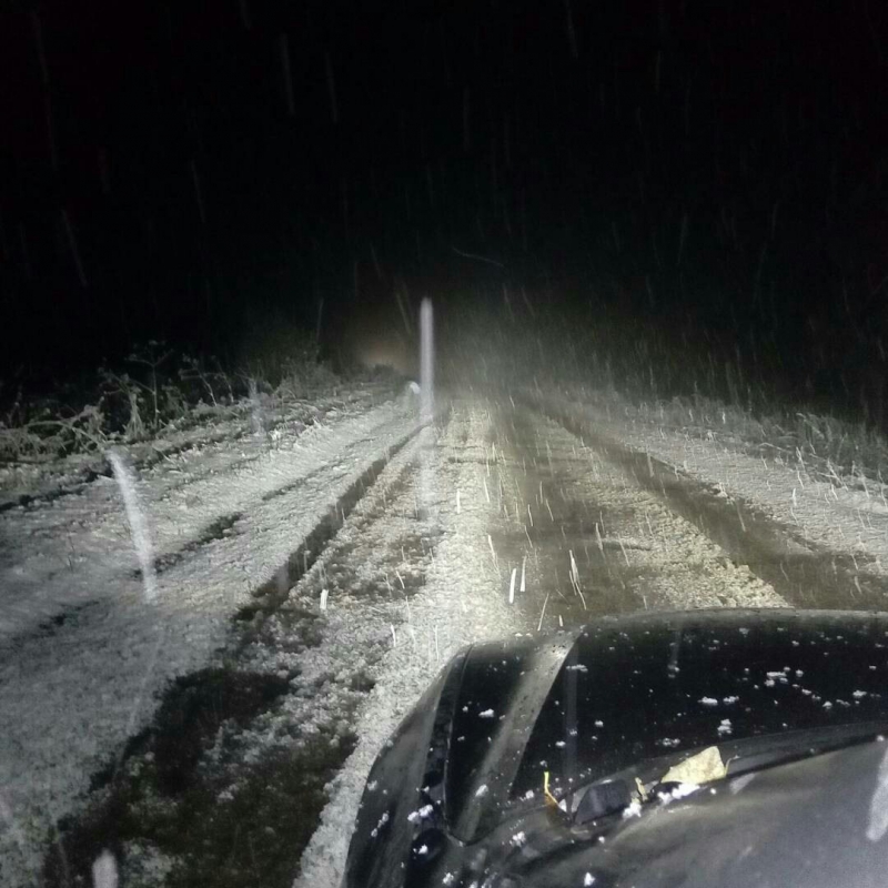 Саратовскую область накрыли зимние осадки, жители начали лепить снеговиков