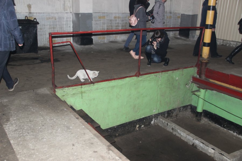 В Саратове водителей автобусов пугают видеокадрами со страшными ДТП