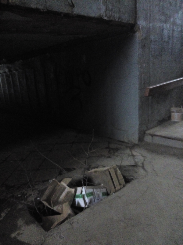 В подземном переходе яму завалили картонными ящиками и ветками деревьев