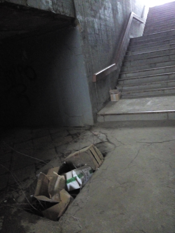 В подземном переходе яму завалили картонными ящиками и ветками деревьев