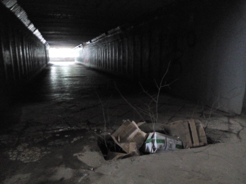 В подземном переходе яму завалили картонными ящиками и ветками деревьев