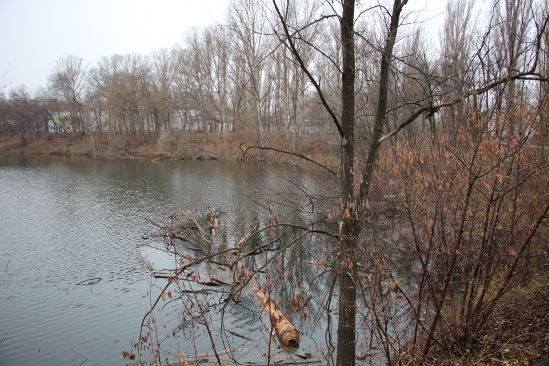 В Балакове коммунальщики приступили к решению проблем «больничных прудов»