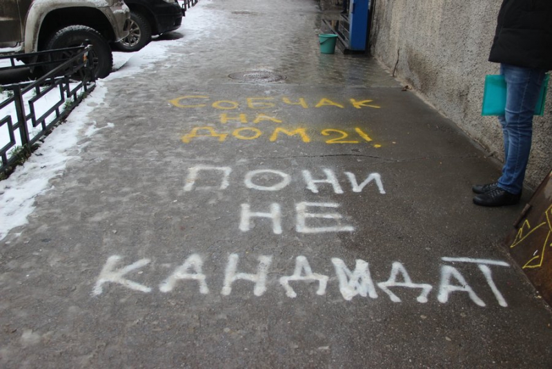 В Саратове Ксению Собчак хотели встретить надписями «Пони не кандидат»