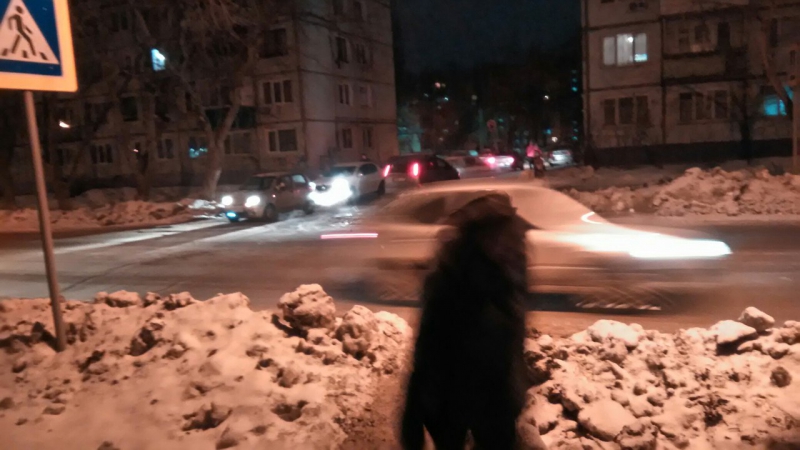 Горожане жалуются на опасный для детей пешеходный переход