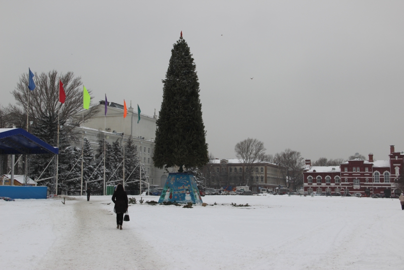 В Саратове начали разбирать главную елку города