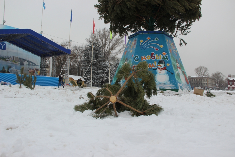 В Саратове начали разбирать главную елку города