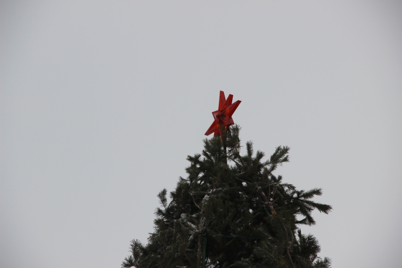 В Саратове начали разбирать главную елку города