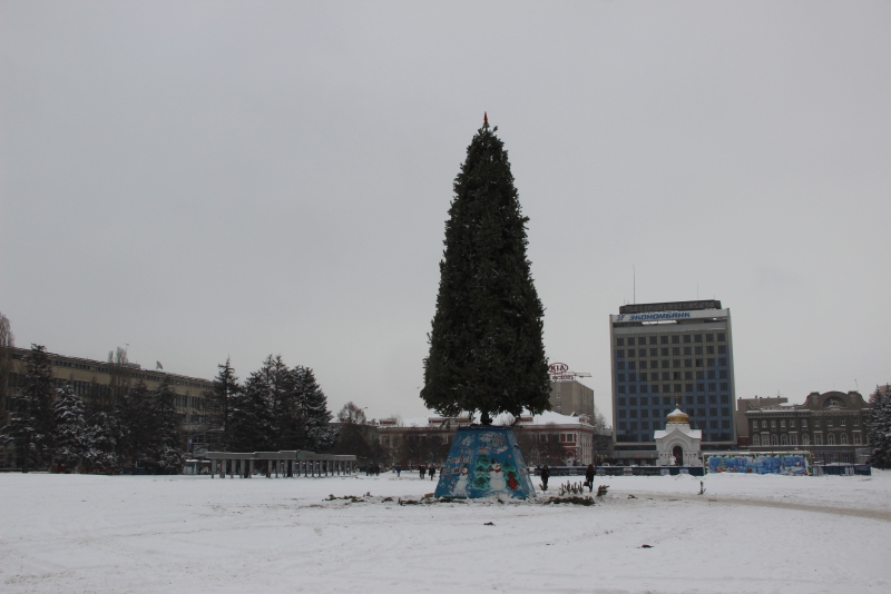 В Саратове начали разбирать главную елку города