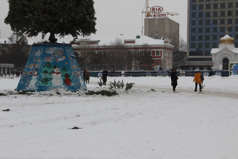 В Саратове начали разбирать главную елку города