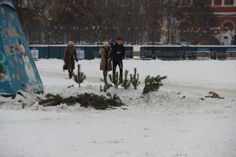 В Саратове начали разбирать главную елку города