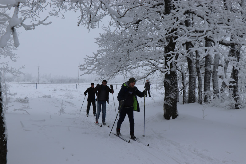 Студенты СГТУ отметили День Татьяны вместе с ректором на лыжне
