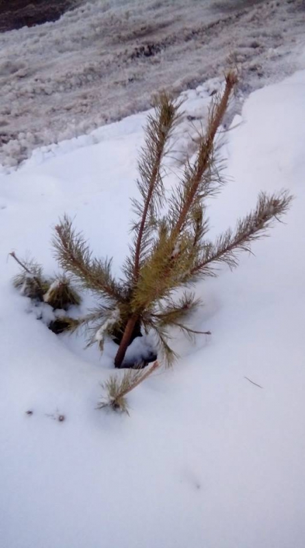 Жители Саратова сообщают адреса открытых колодцев