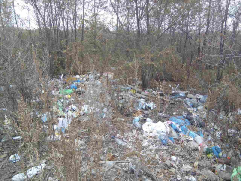 «Управление отходами» оперативно выявляет нарушителей санитарного законодательства