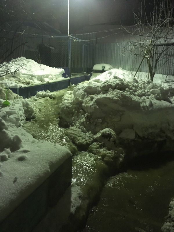 Очевидец: В поселке Северный вода заливает частные дома