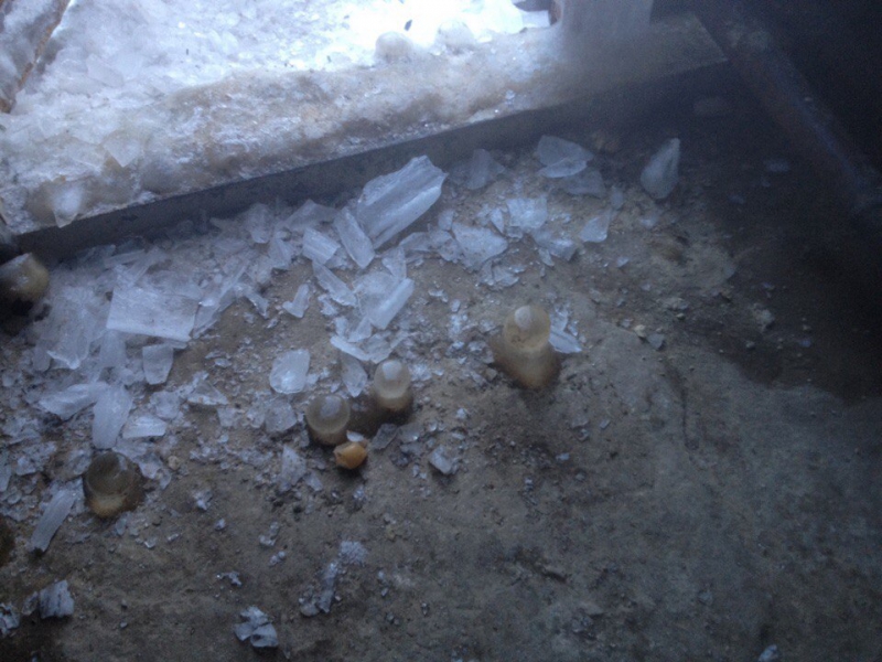 Многострадальный дом в Елшанке из-за отсутствия отопления покрывается льдом