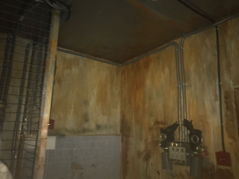 В Саратове организаторов квеста «Ходячие» наказали за запугивание детей