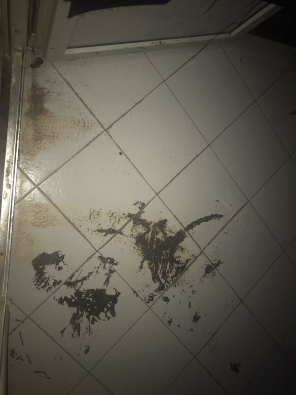 В Саратове организаторов квеста «Ходячие» наказали за запугивание детей