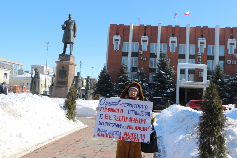 В Саратове активистка и пес Степан Петрович пикетировали облдуму