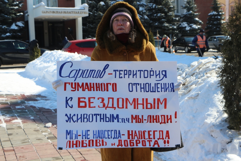 В Саратове активистка и пес Степан Петрович пикетировали облдуму