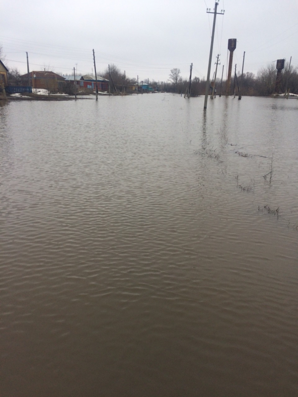 Паводок-2018. Саратовские МЧСники обеспечивают волгоградцев продуктами и лекарствами