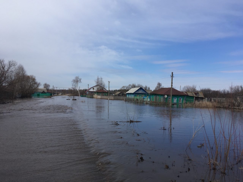 Спикер облдумы пообещал оказать материальную помощь жителям затопленных сел