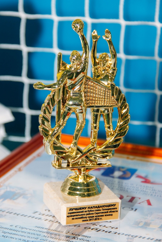 Кубок главы Татищевского муниципального района по волейболу закрыл сезон