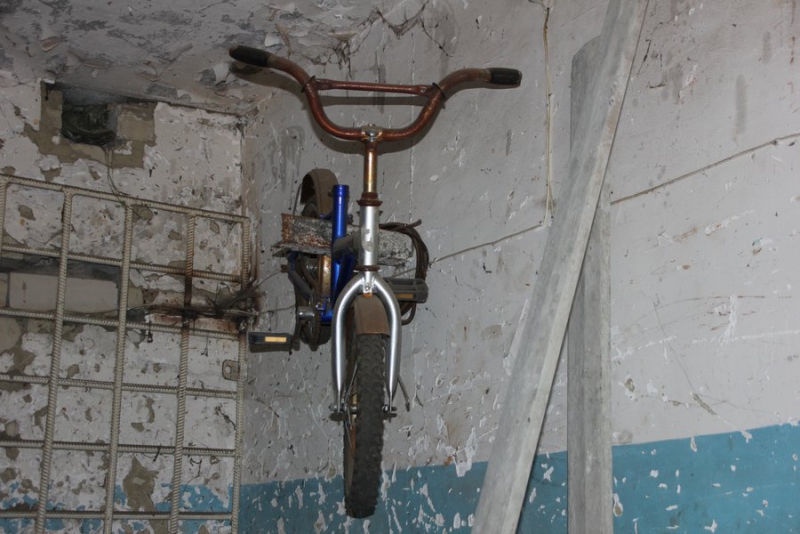 В Саратове ревизоры нашли в пунктах приема чермета слонов, самолеты и бюст Сталина