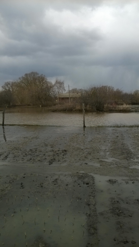 В Аткарске срезали дамбу для защиты от паводка. Вода стоит в 12 дворах