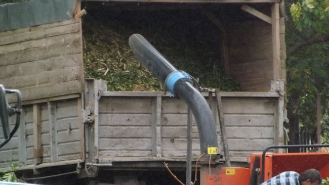 В Энгельсе неизвестные с символикой «Единой России» вырубают деревья