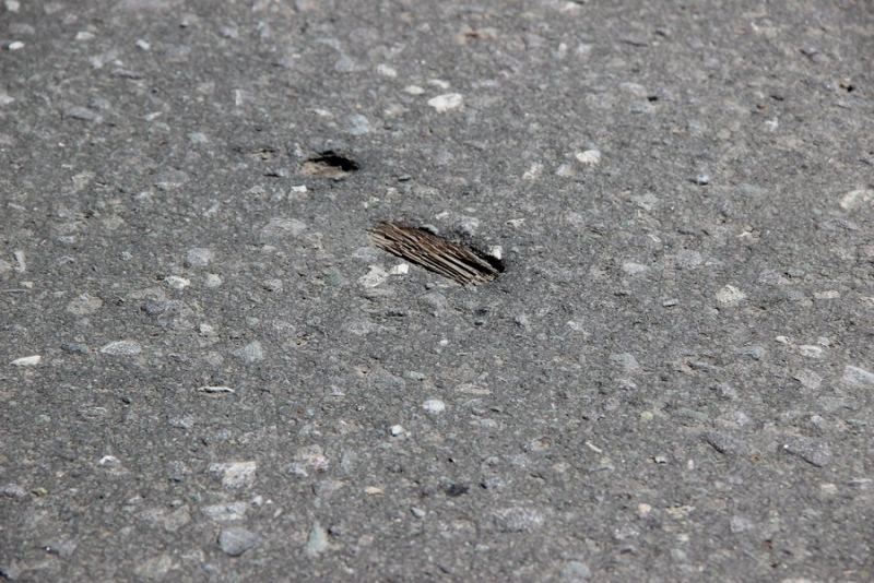 Трещины на гарантийном участке дороги «Тамбов-Ртищево-Саратов» устранят к середине мая