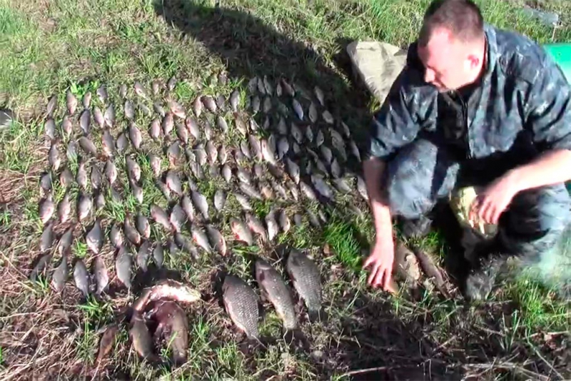 На саратовских браконьеров заведено 16 уголовных дел