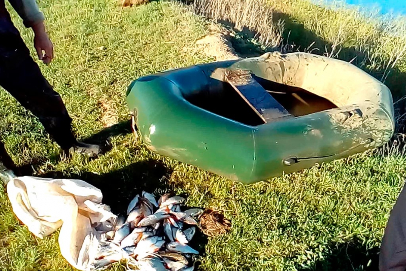 На саратовских браконьеров заведено 16 уголовных дел