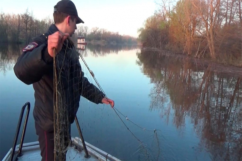 На саратовских браконьеров заведено 16 уголовных дел