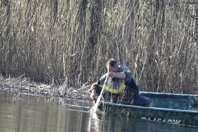 На саратовских браконьеров заведено 16 уголовных дел