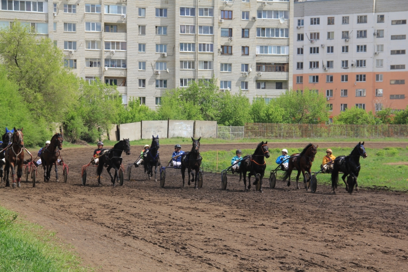 На саратовском ипподроме первым победителем 160-го сезона стал американец