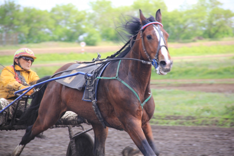 На саратовском ипподроме первым победителем 160-го сезона стал американец
