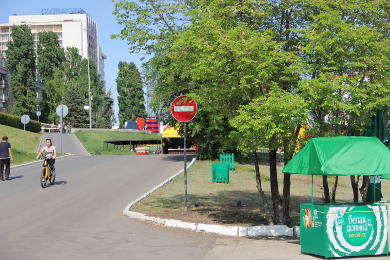 Вазоны с цветами не стали препятствием для гонок по набережной