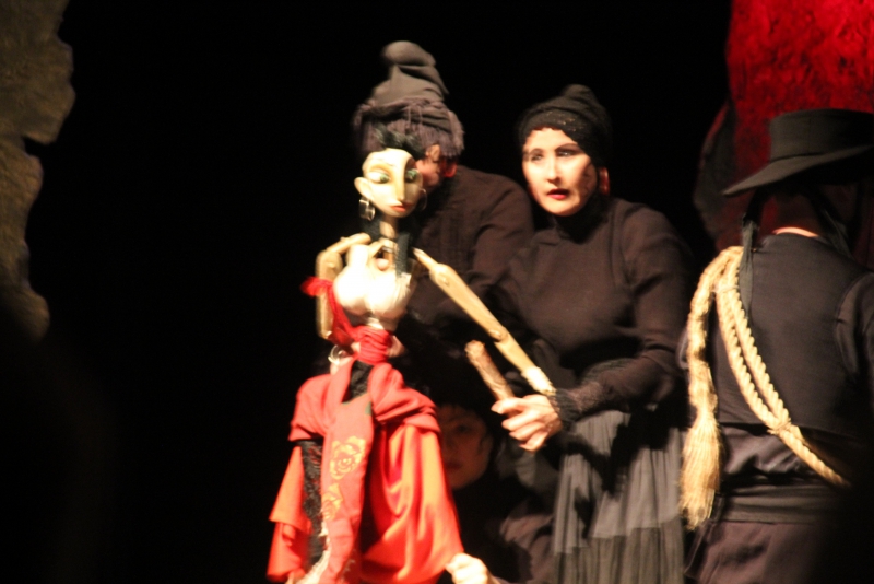 «Кармен» из Вологды покорила саратовских зрителей