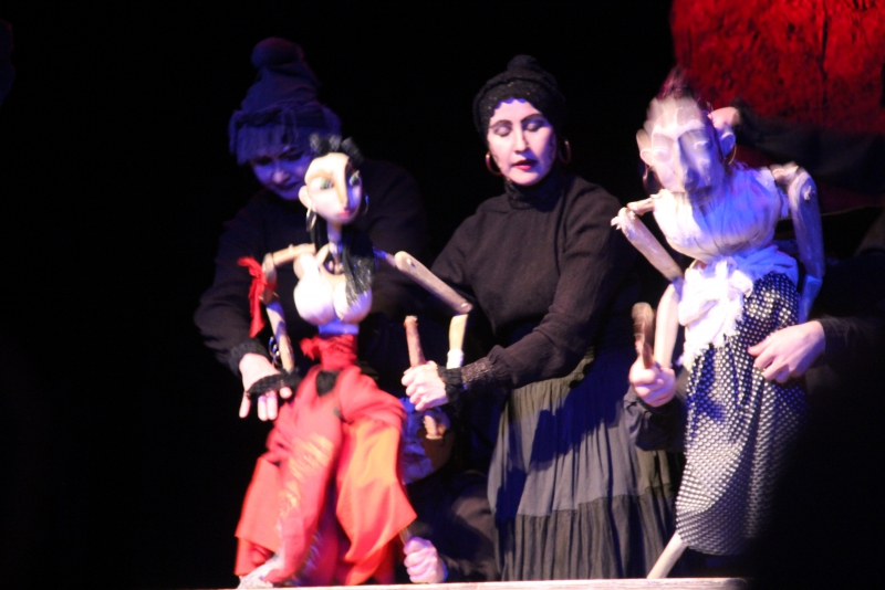 «Кармен» из Вологды покорила саратовских зрителей