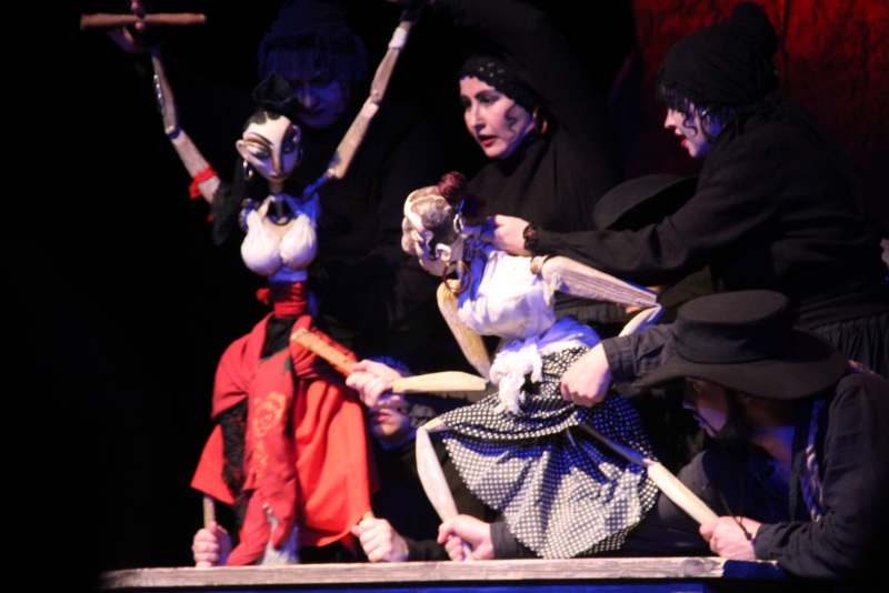 «Кармен» из Вологды покорила саратовских зрителей