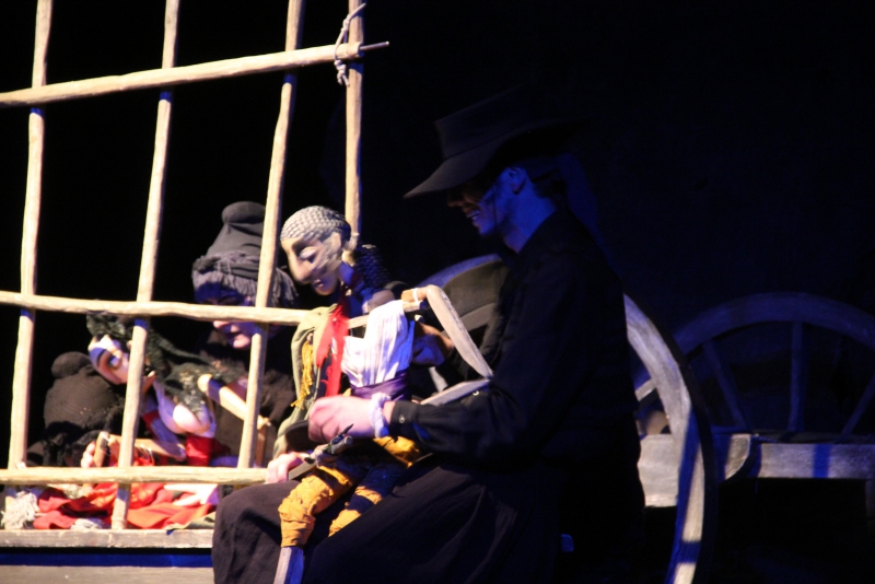 «Кармен» из Вологды покорила саратовских зрителей